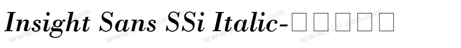 Insight Sans SSi Italic字体转换